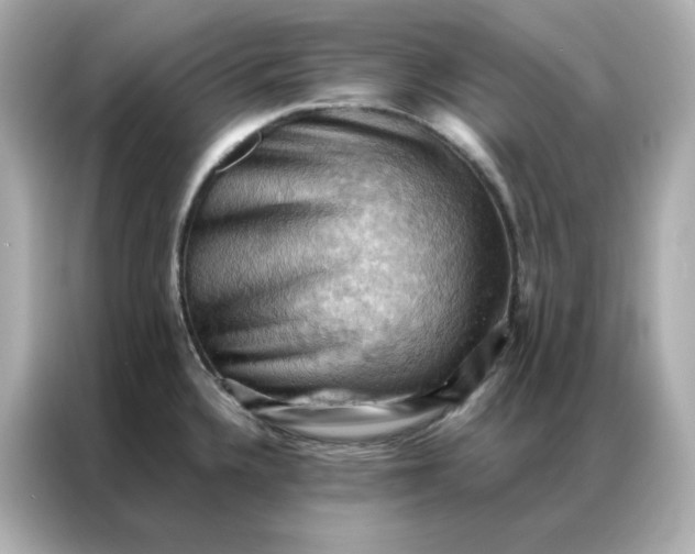 X0000086941336200704301129