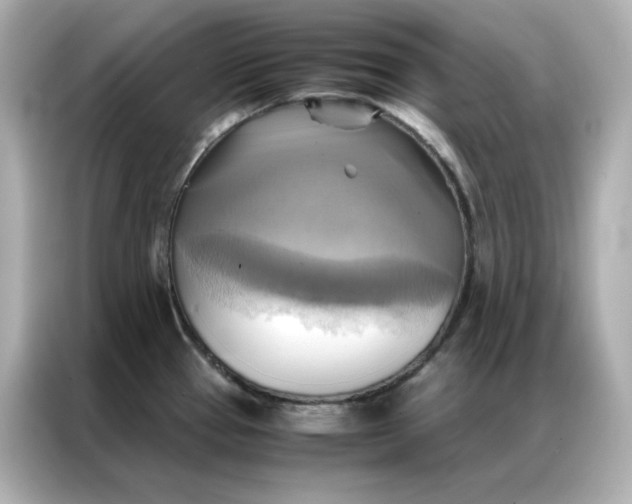 X0000086941337200704301129