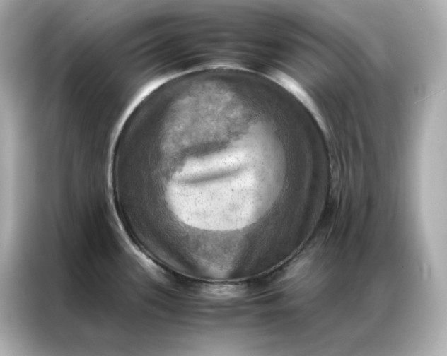 X0000086941339200704301129