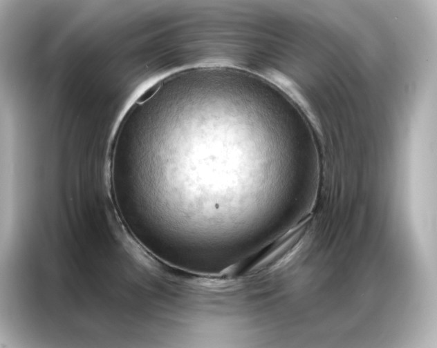 X0000086941340200704301129