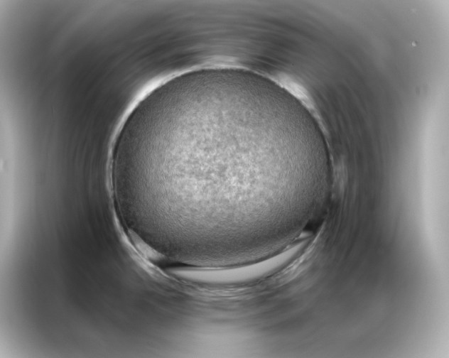 X0000086941342200704301129