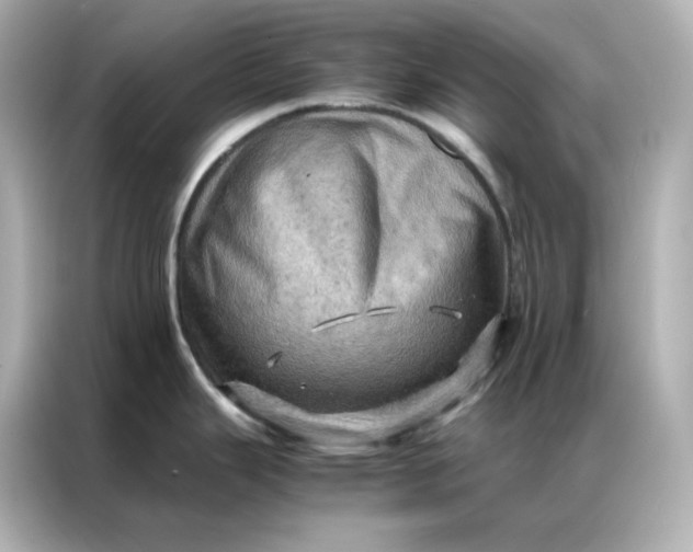 X0000086941343200704301129