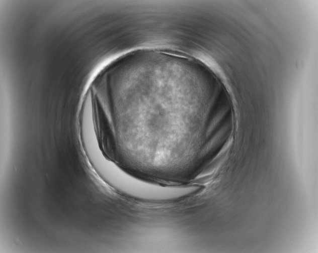 X0000086941344200704301129