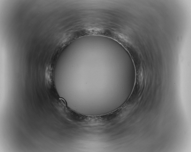 X0000086941346200704301129
