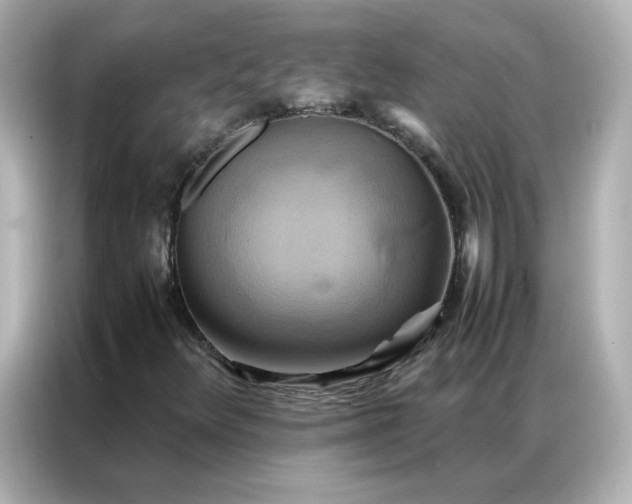 X0000086941348200704301129