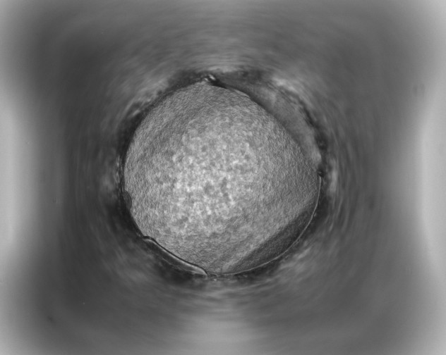 X0000086941349200704301129