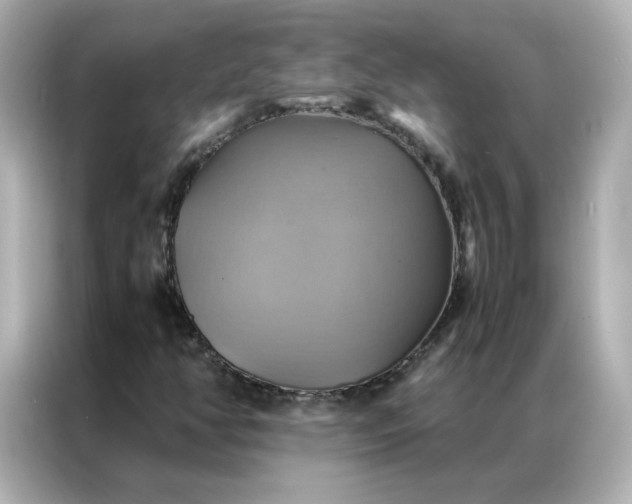 X0000086941350200704301129