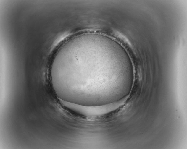X0000086941352200704301129