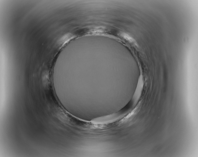 X0000086941353200704301129