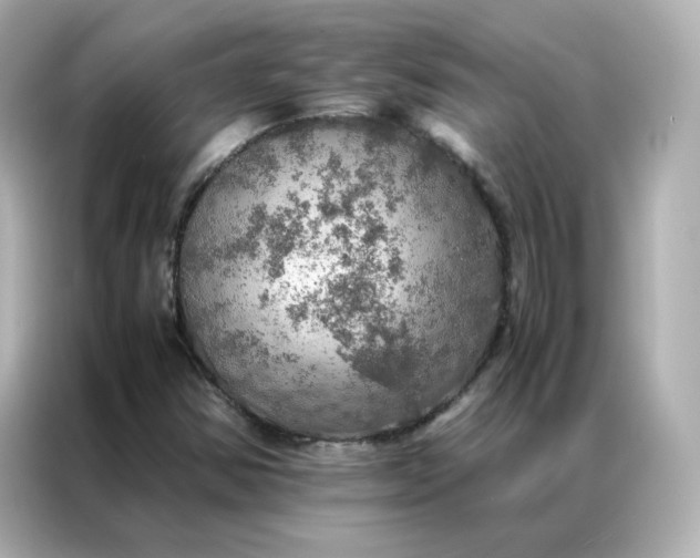 X0000086941354200704301129