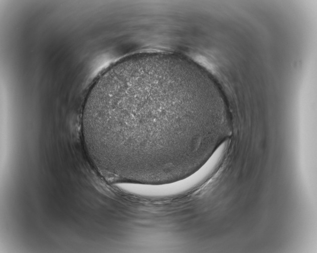 X0000086941355200704301129