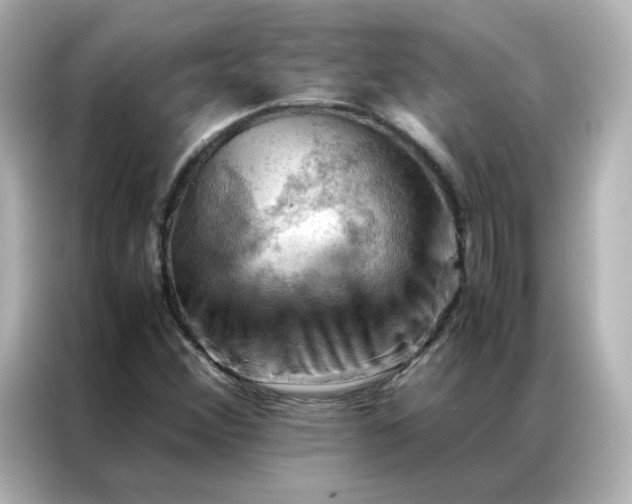 X0000086941356200704301129