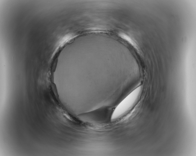 X0000086941357200704301129