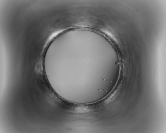 X0000086941358200704301129