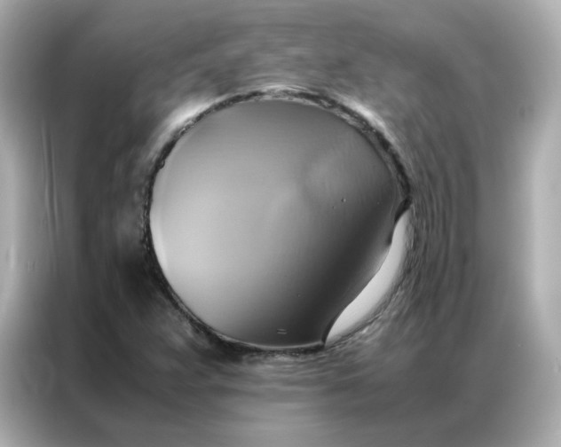 X0000086941359200704301129