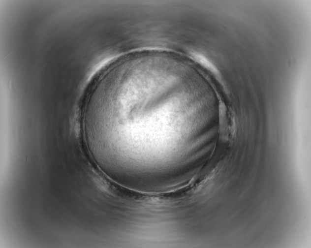 X0000086941360200704301129
