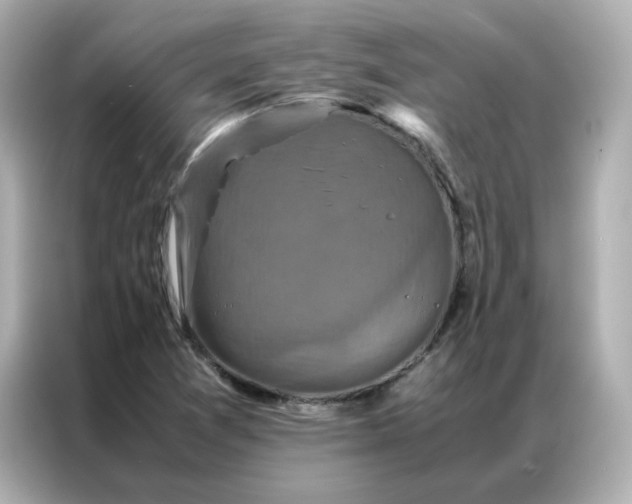X0000086941361200704301129