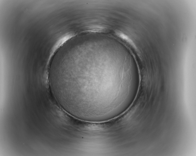 X0000086941362200704301129
