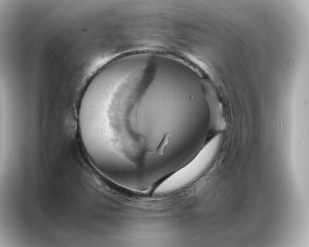 X0000086941363200704301129