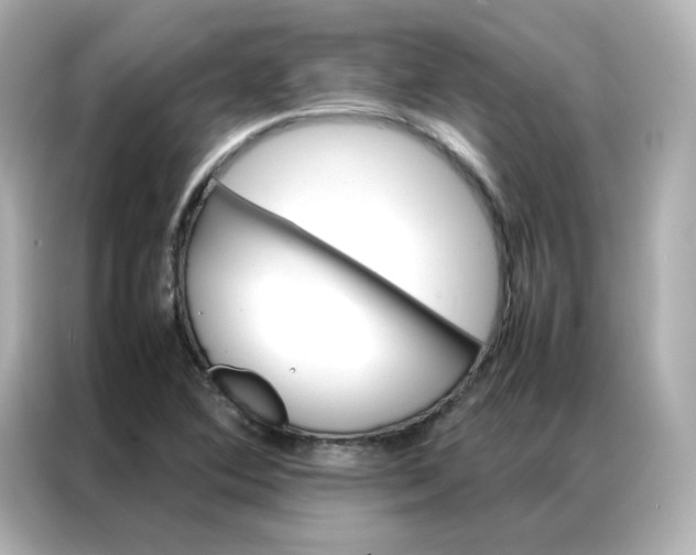 X0000086941364200704301129