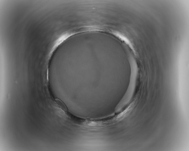 X0000086941365200704301129