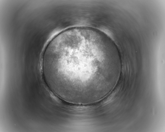 X0000086941366200704301129