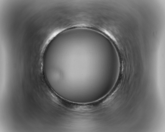 X0000086941367200704301129
