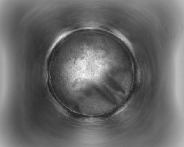 X0000086941368200704301129