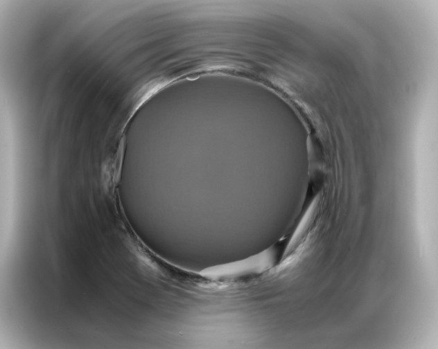 X0000086941369200704301129