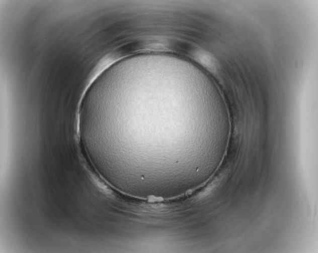 X0000086941370200704301129