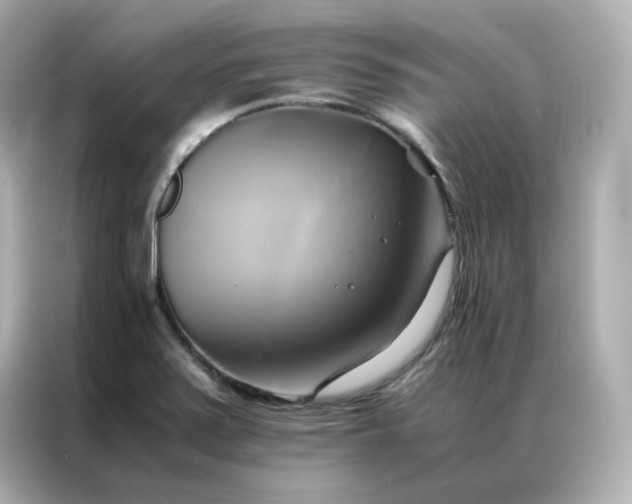 X0000086941371200704301129
