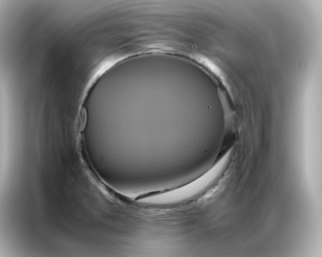 X0000086941373200704301128