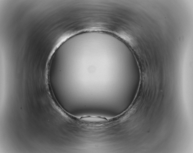 X0000086941374200704301128