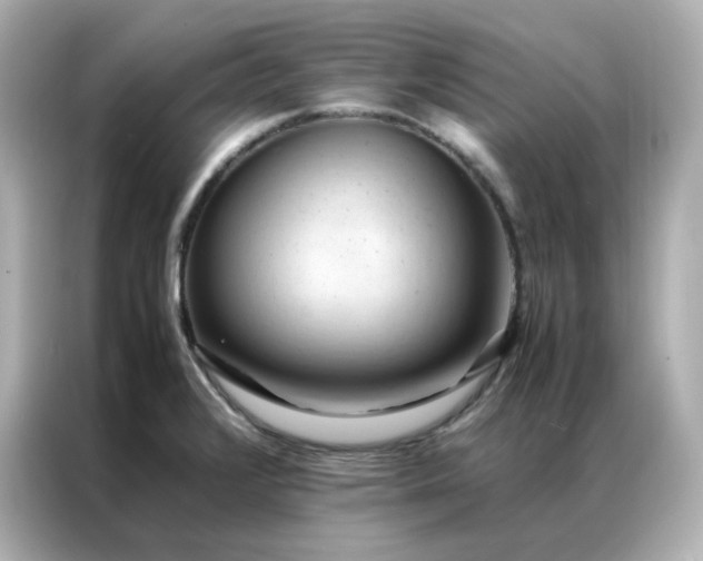 X0000086941376200704301128