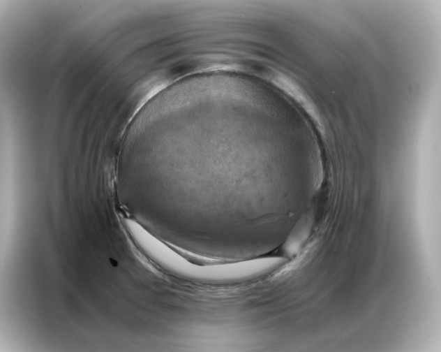 X0000086941377200704301128