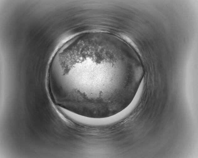X0000086941379200704301128