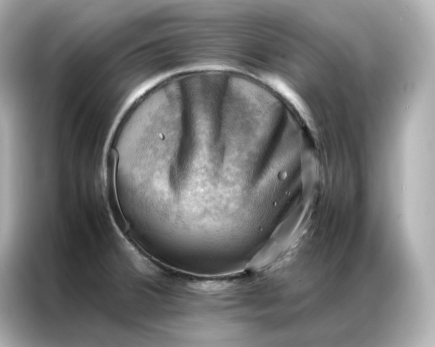 X0000086941380200704301128