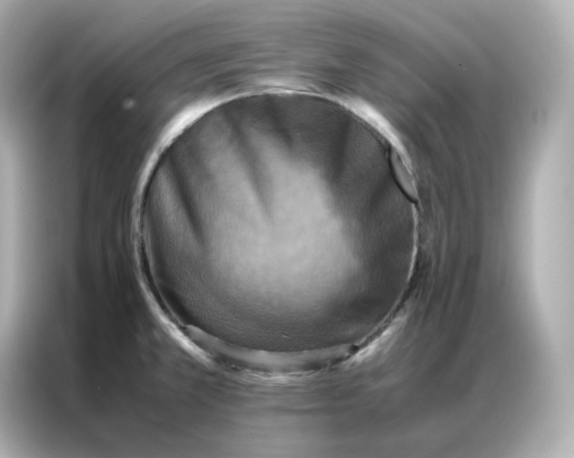 X0000086941381200704301128