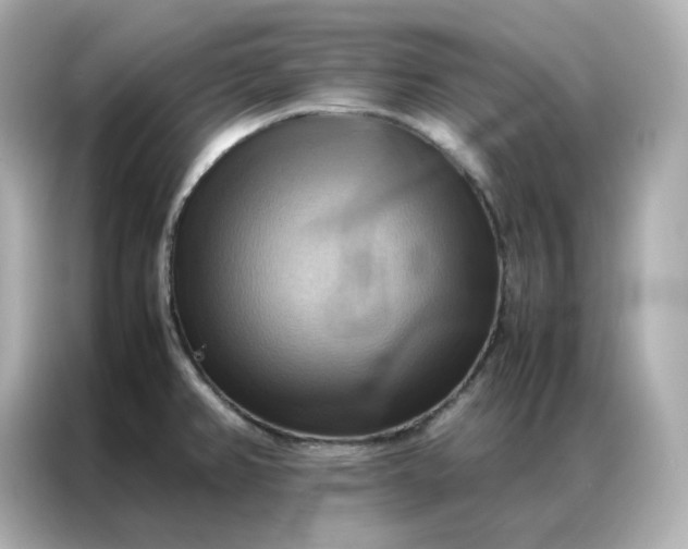 X0000086941382200704301128