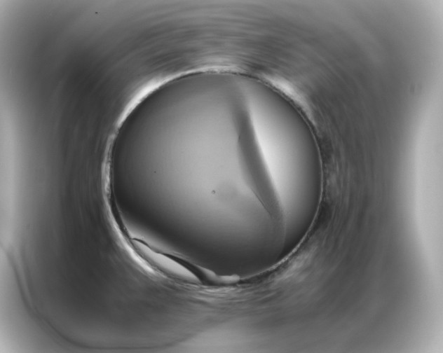 X0000086941383200704301128