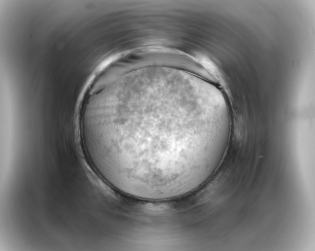 X0000086941384200704301128