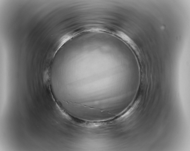 X0000086941385200704301128