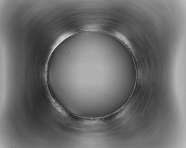 X0000086941386200704301128