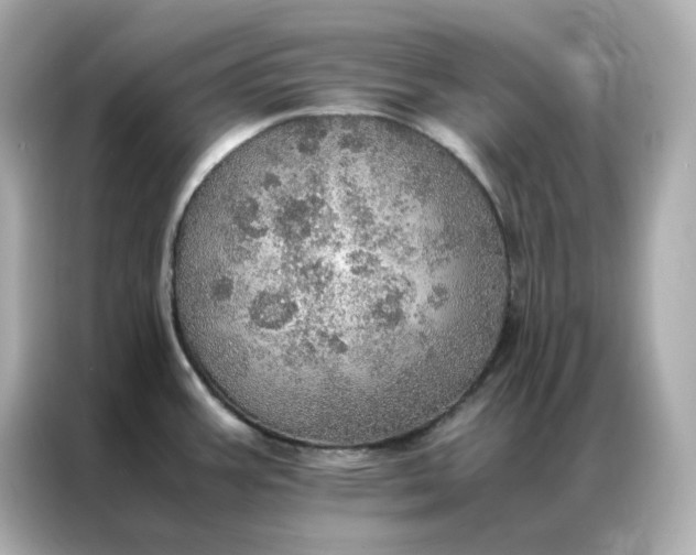 X0000086941387200704301128