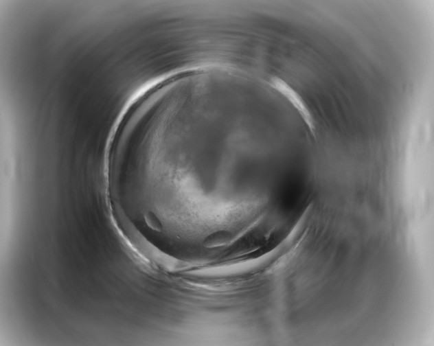 X0000086941388200704301128