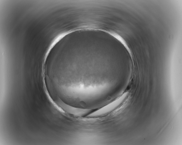 X0000086941389200704301128