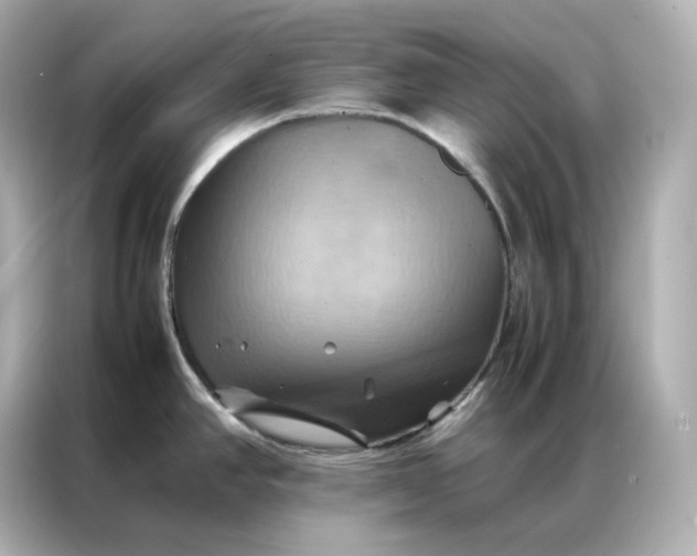 X0000086941390200704301128