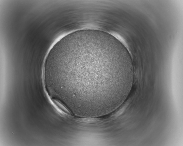 X0000086941391200704301128