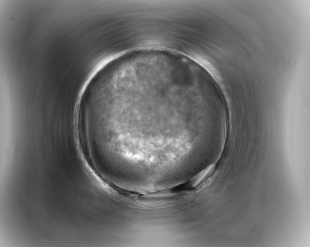 X0000086941392200704301128