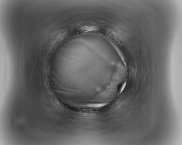 X0000086941393200704301128